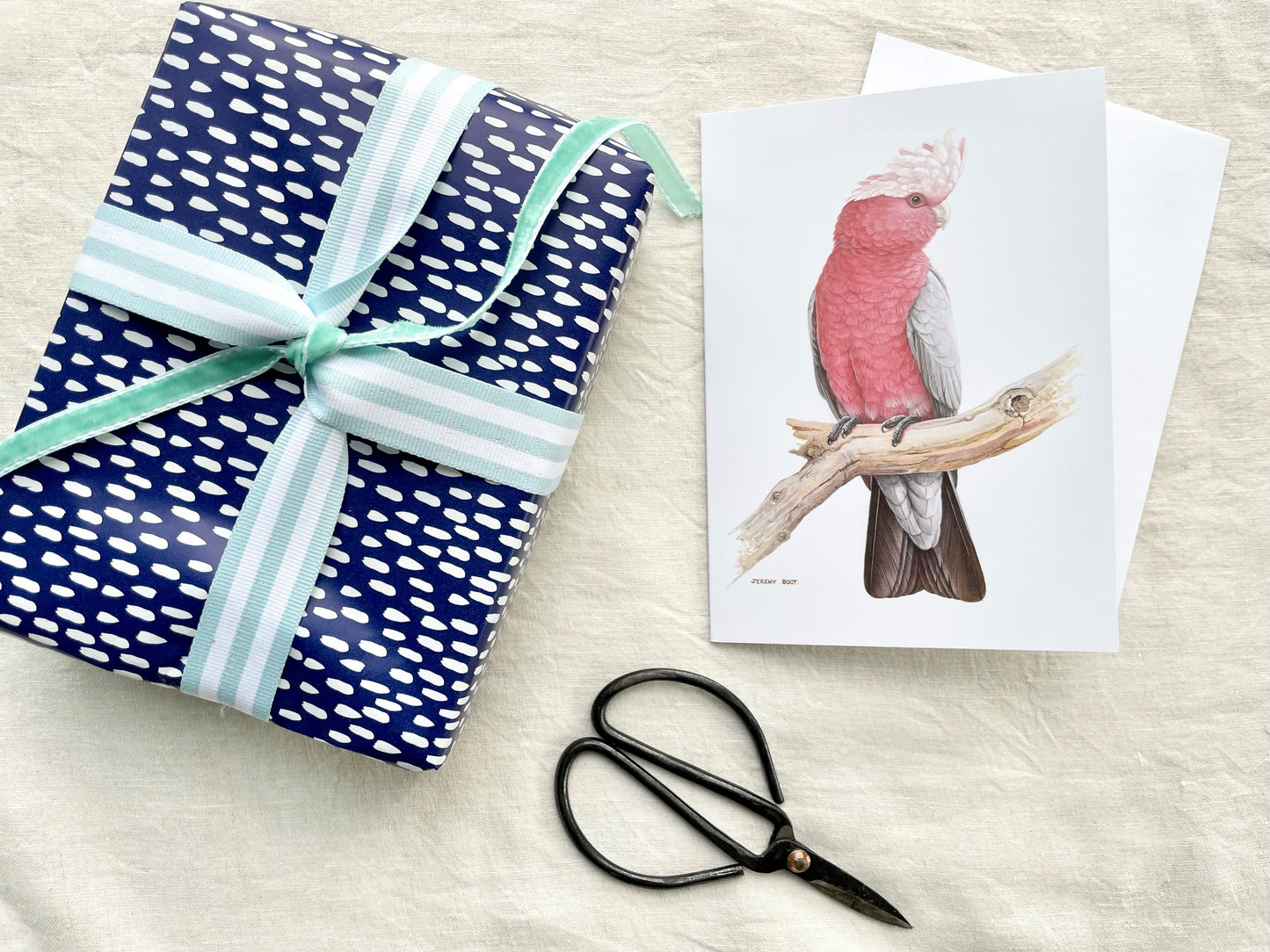 Blank Card - Galah