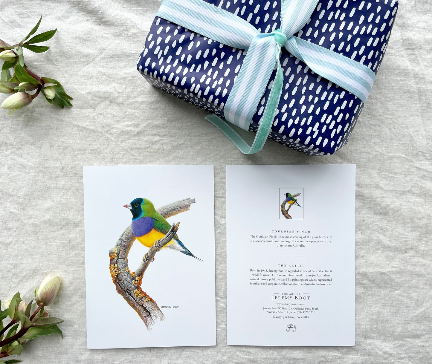 Blank Card - Gouldian Finch
