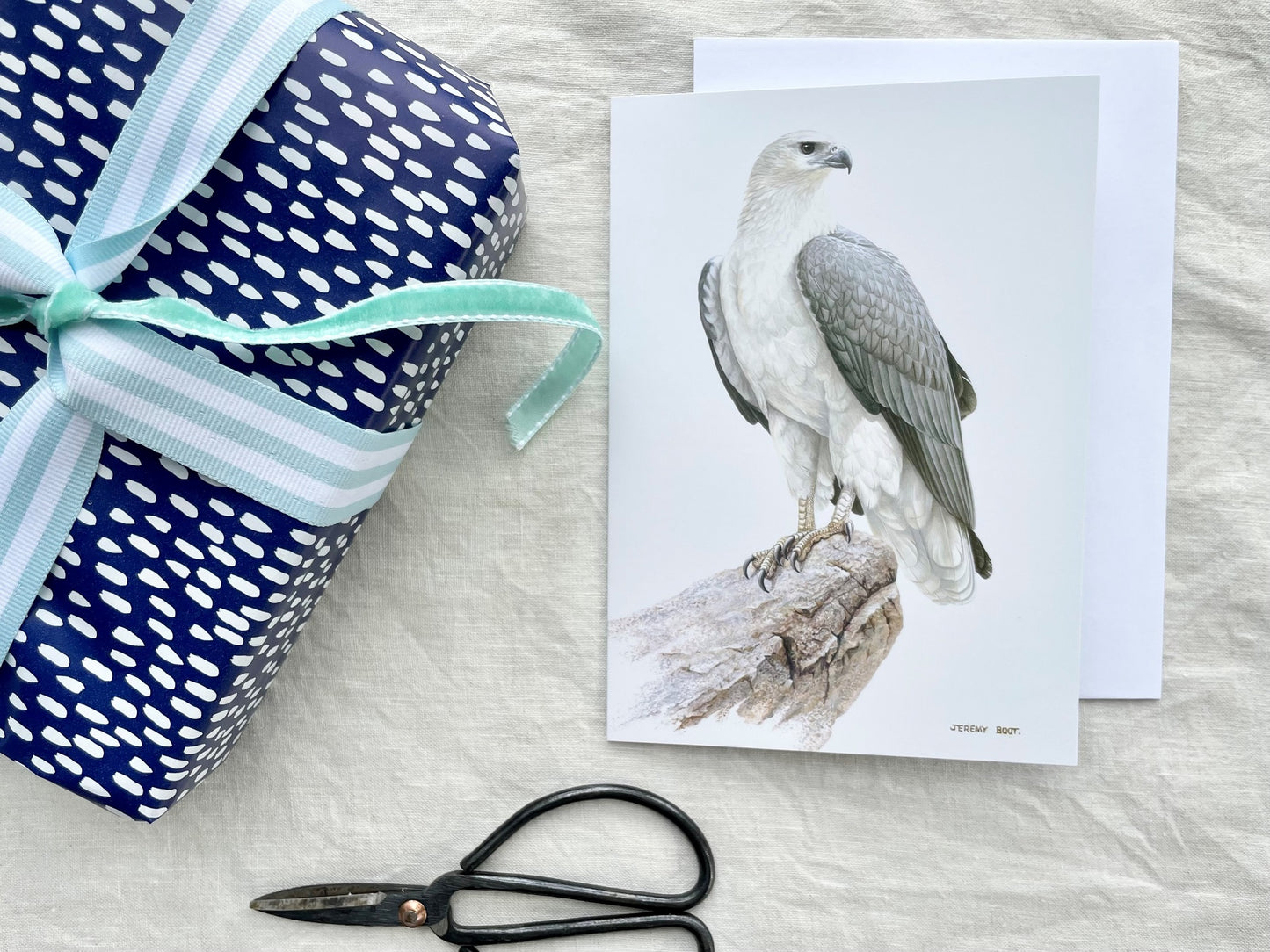 Blank Card - Sea Eagle