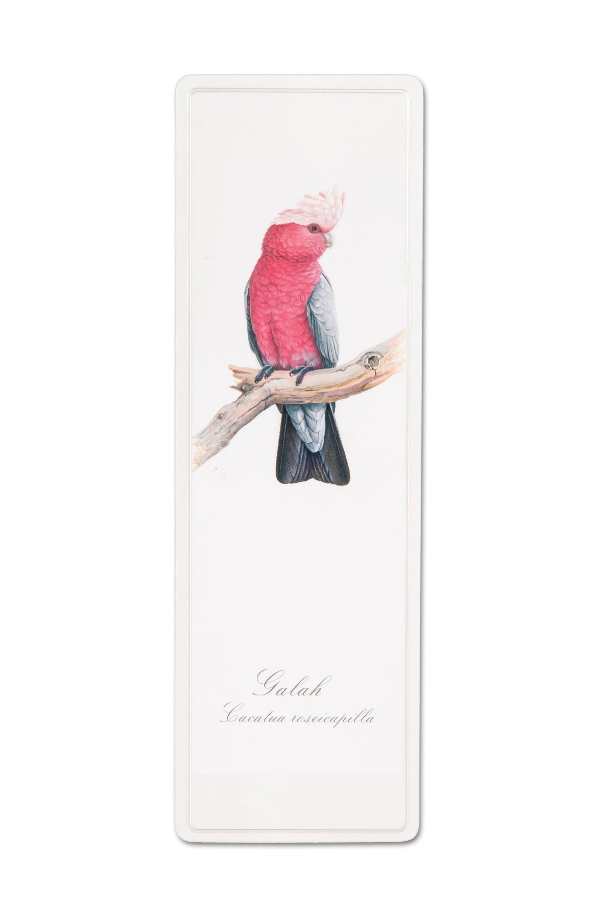 Bookmark - Galah