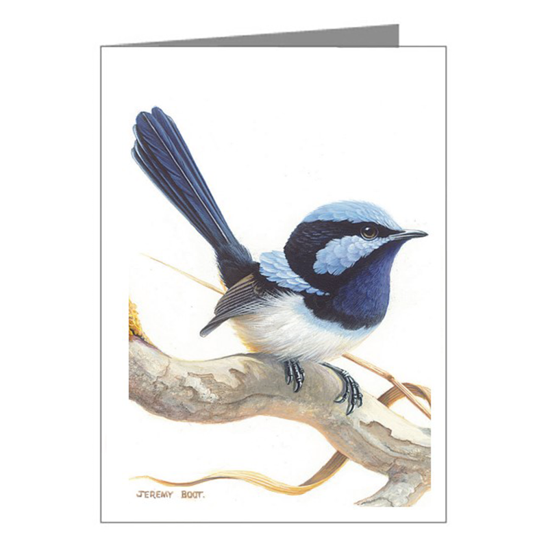 Gift Tag - Blue Wren (Branch)