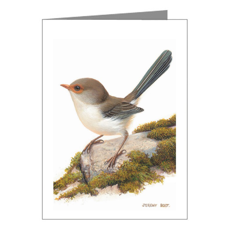Gift Tag - Blue Wren (Female)