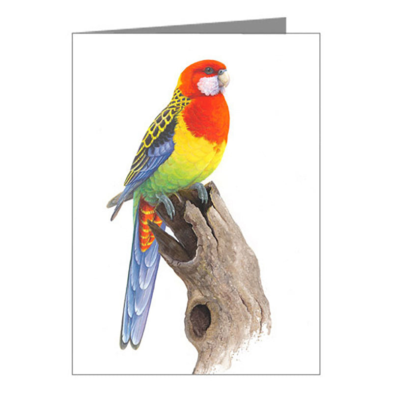Gift Tag - Eastern Rosella