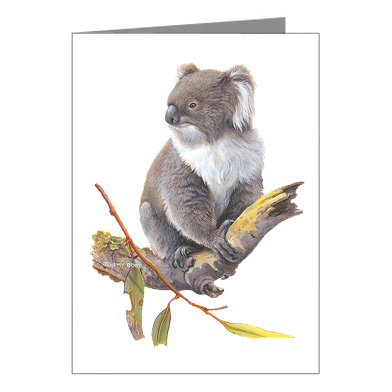 Gift Tags Koala