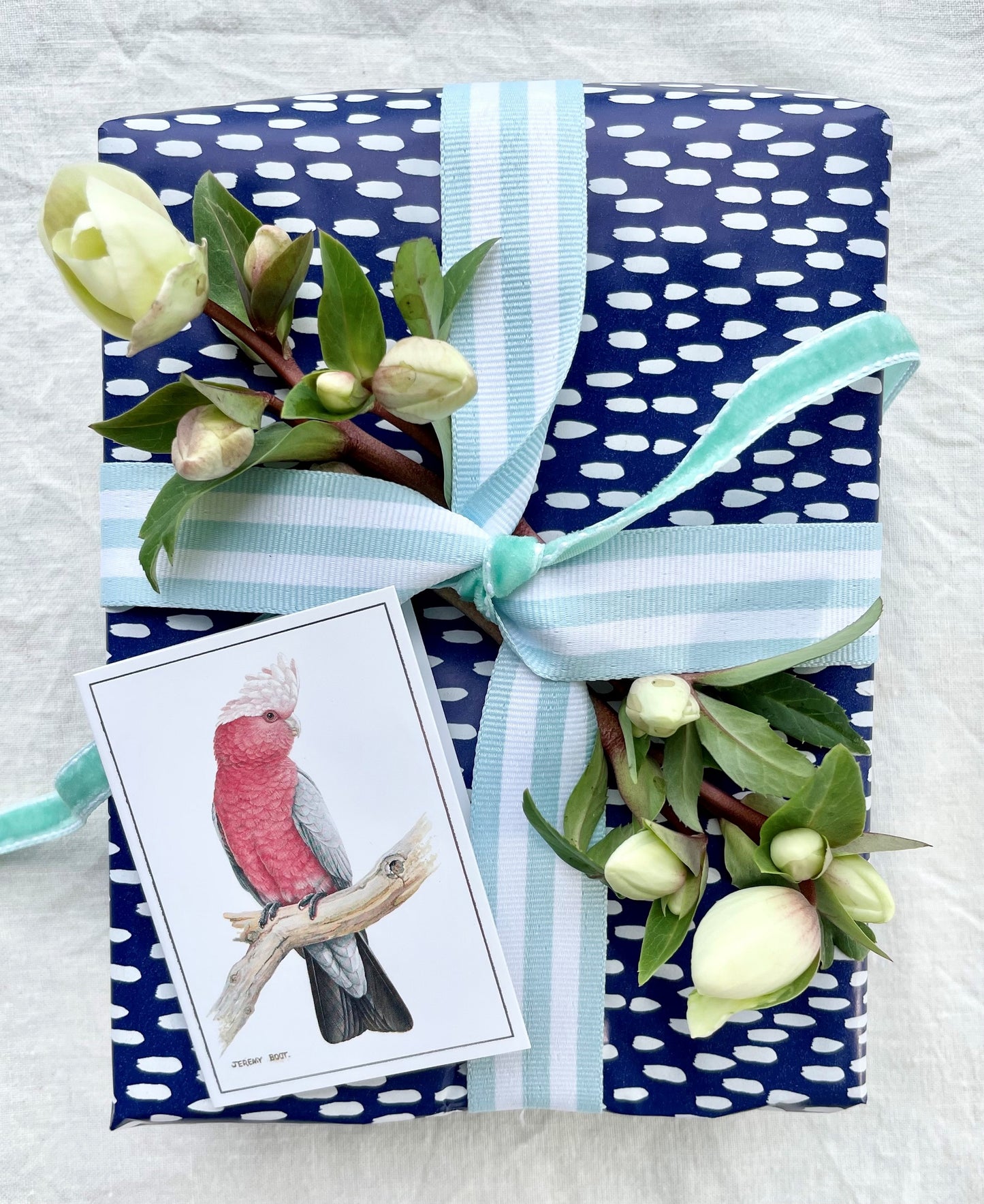 Gift Tag - Galah