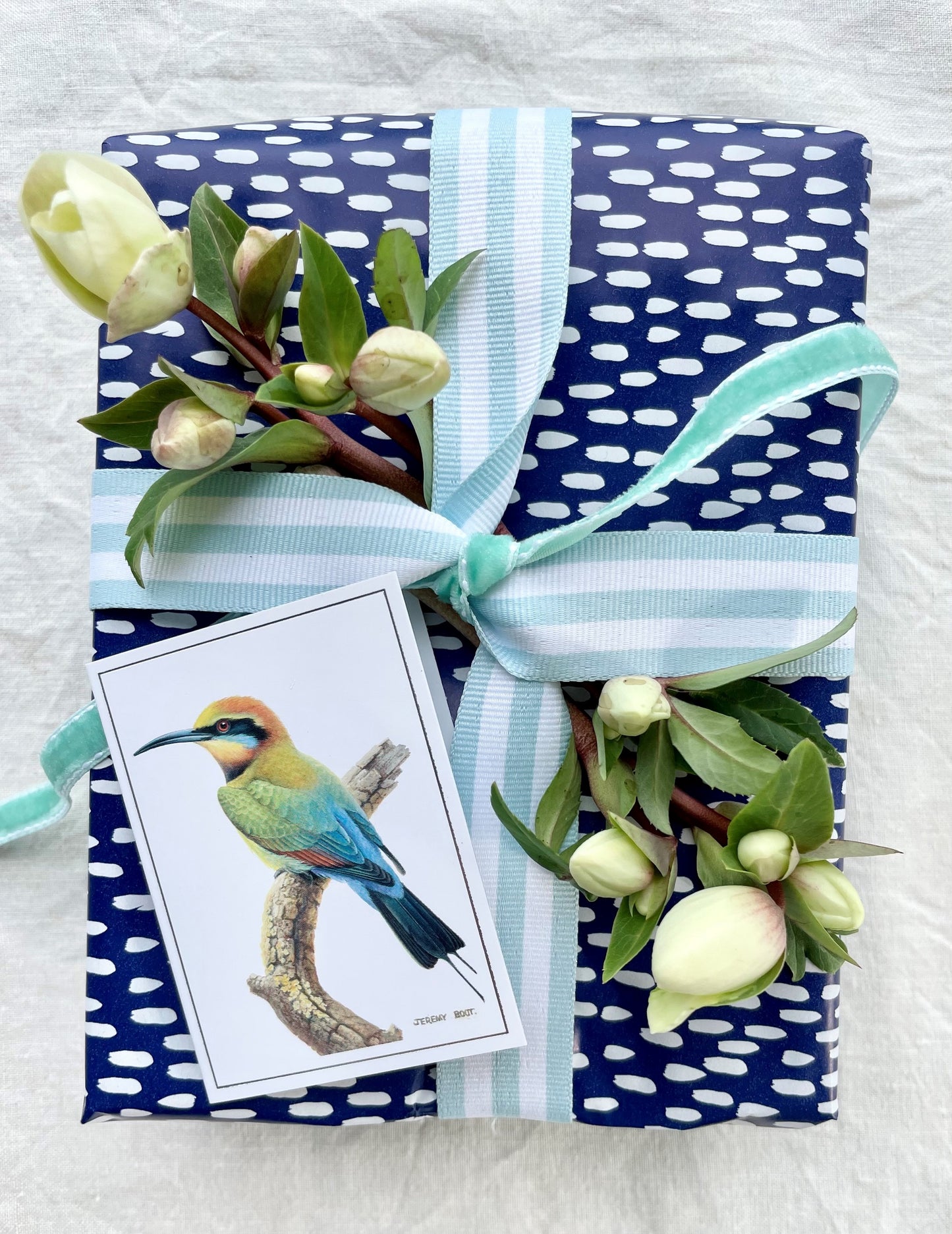 Gift Tag - Rainbow Bird