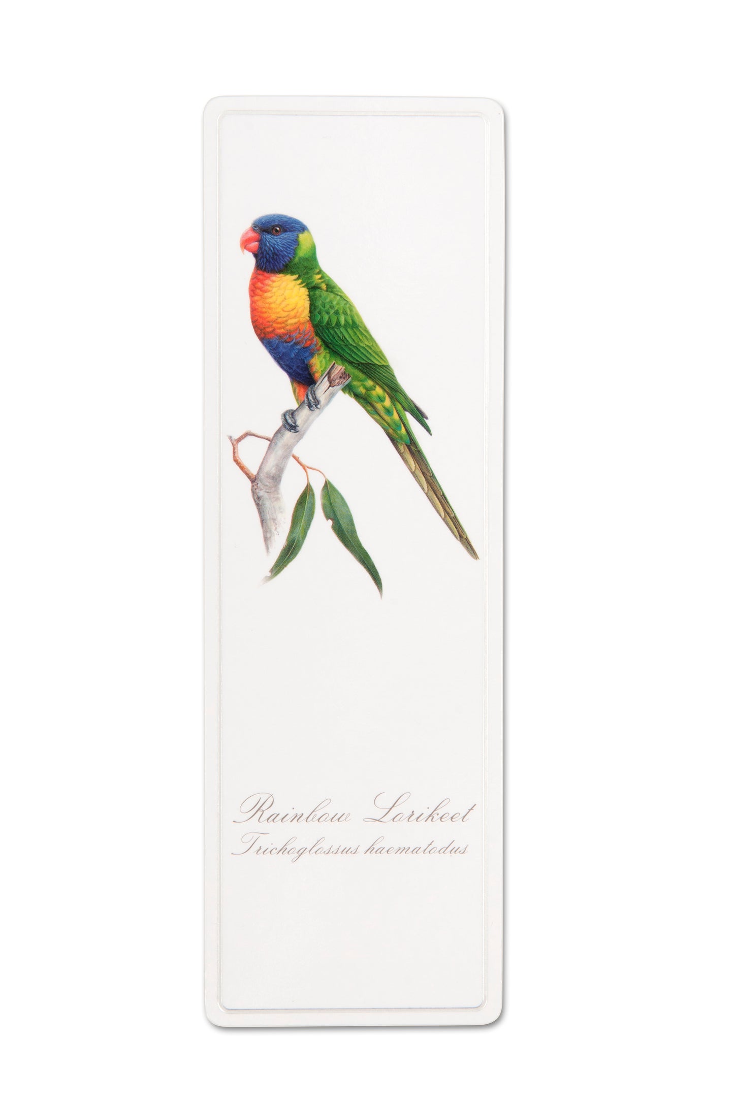 Bookmark - Rainbow Lorikeet