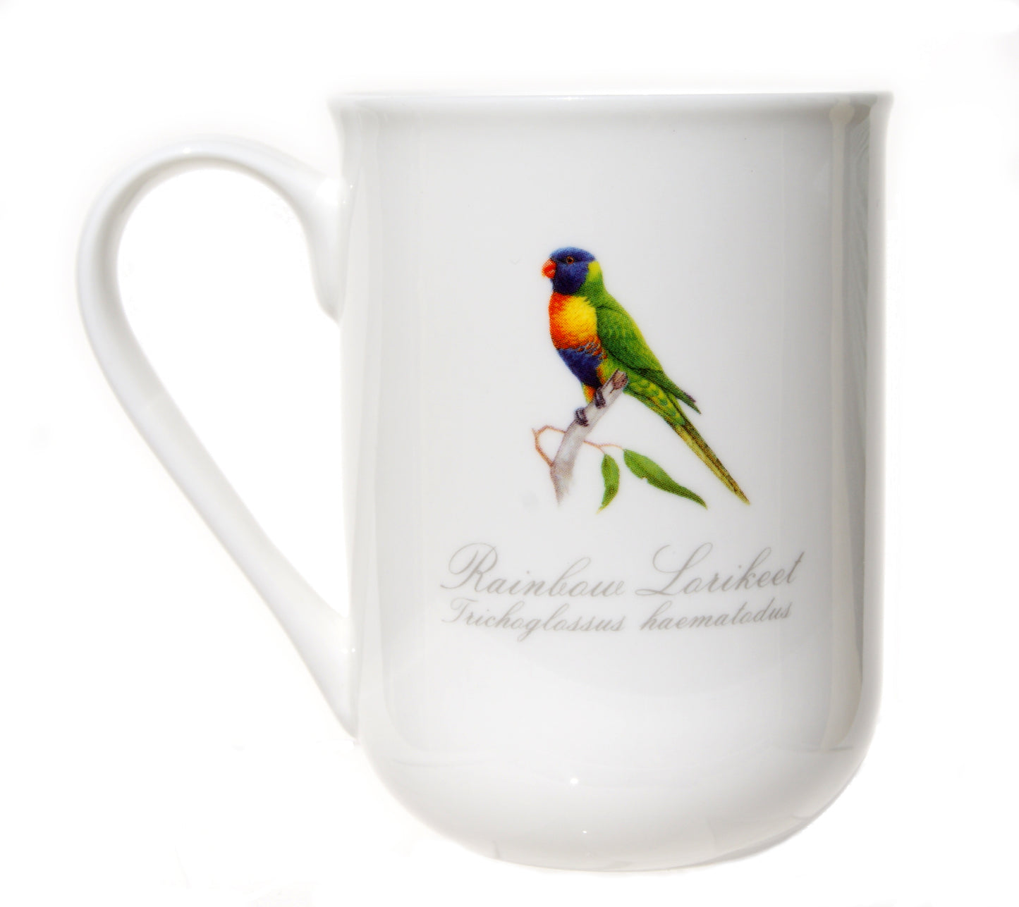 Fine Bone China Cups - Rainbow Lorikeet