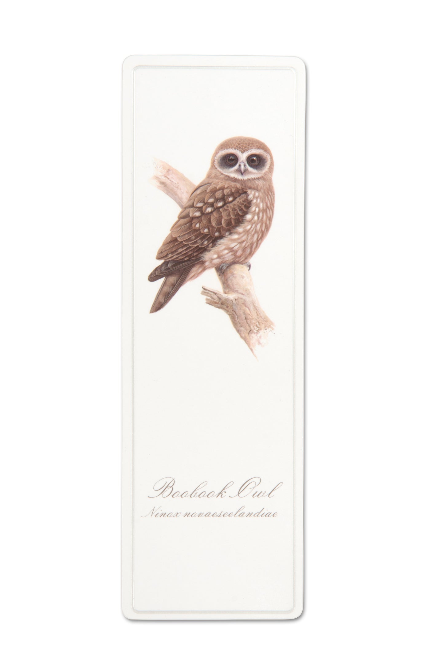 Bookmark - Boobook Owl