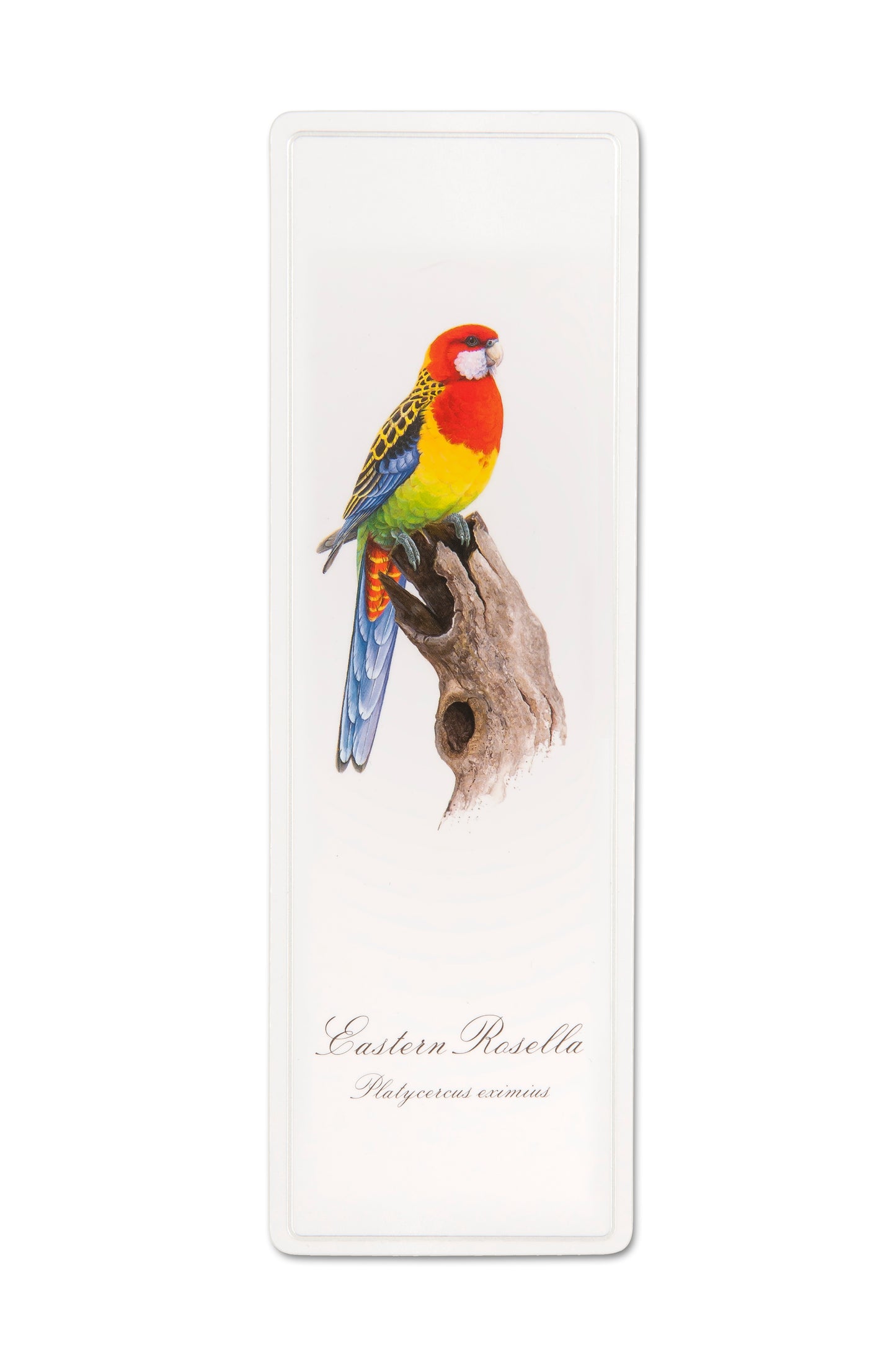 Bookmark - Eastern Rosella