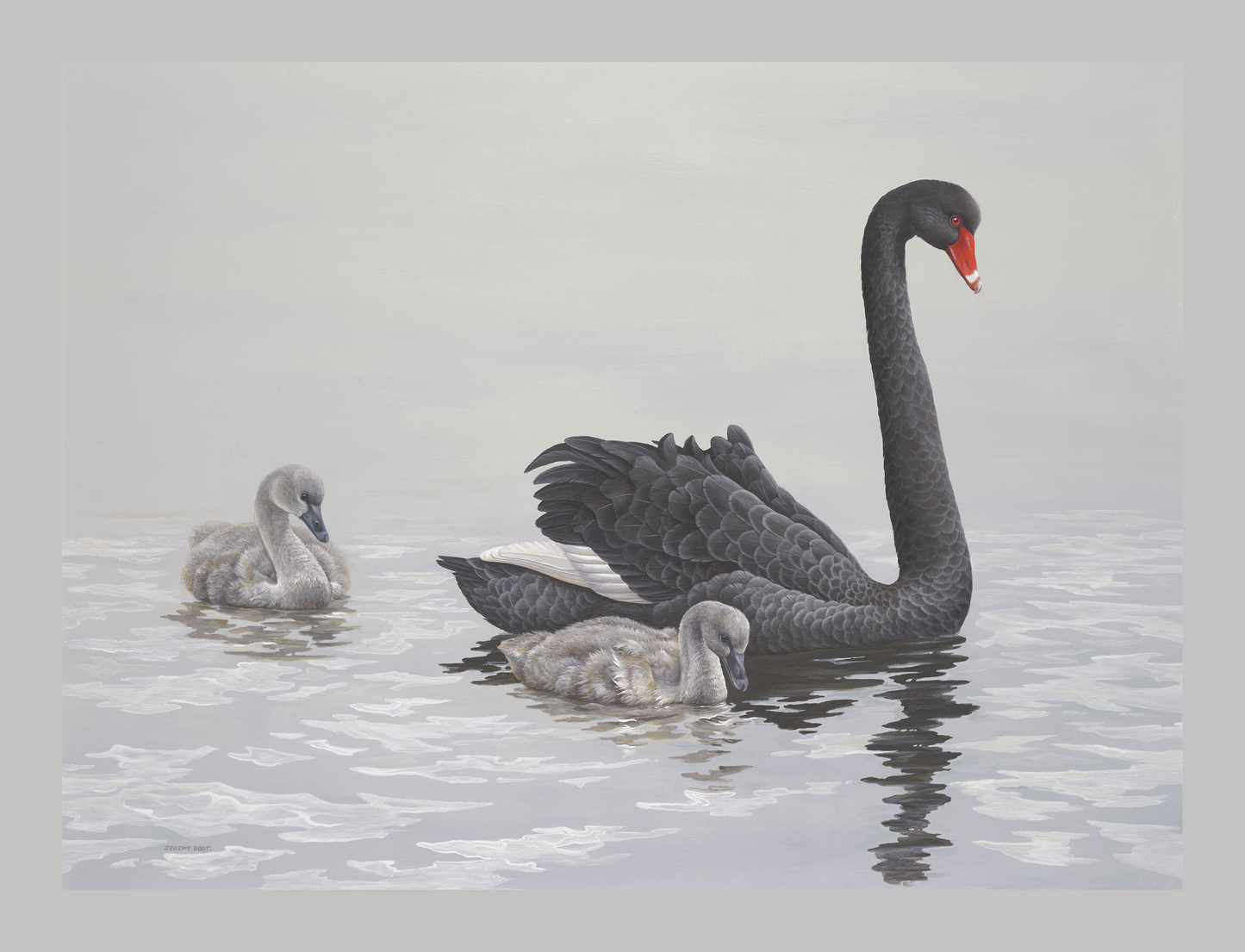 Blank Card - Black Swan - LIMITED EDITION