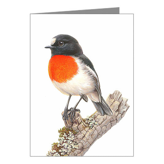 Blank Card - Scarlet Robin