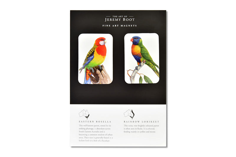 Magnet Pairs - Rosella & Lorikeet