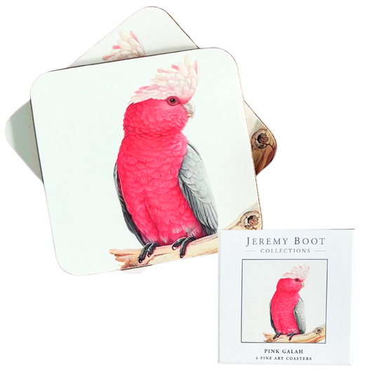 Galah Coasters (set of 4)