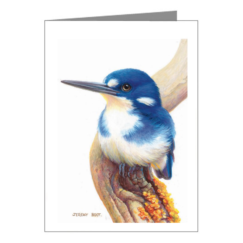 Gift Tag - Little Kingfisher