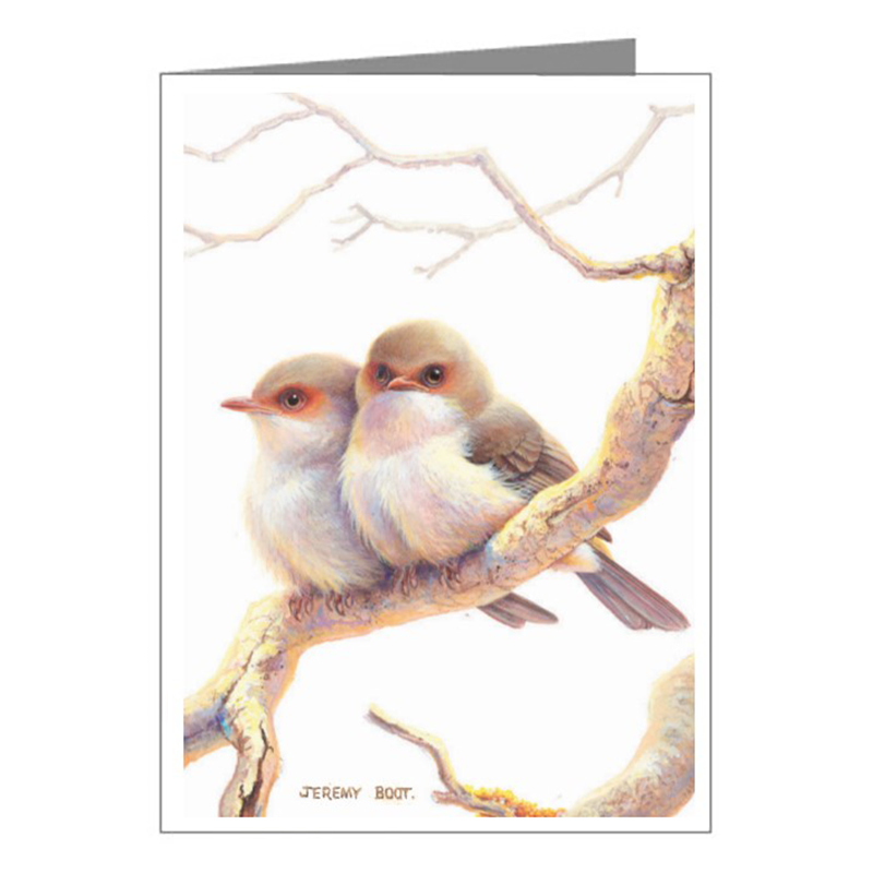 Gift Tag - Blue Wren (Young)
