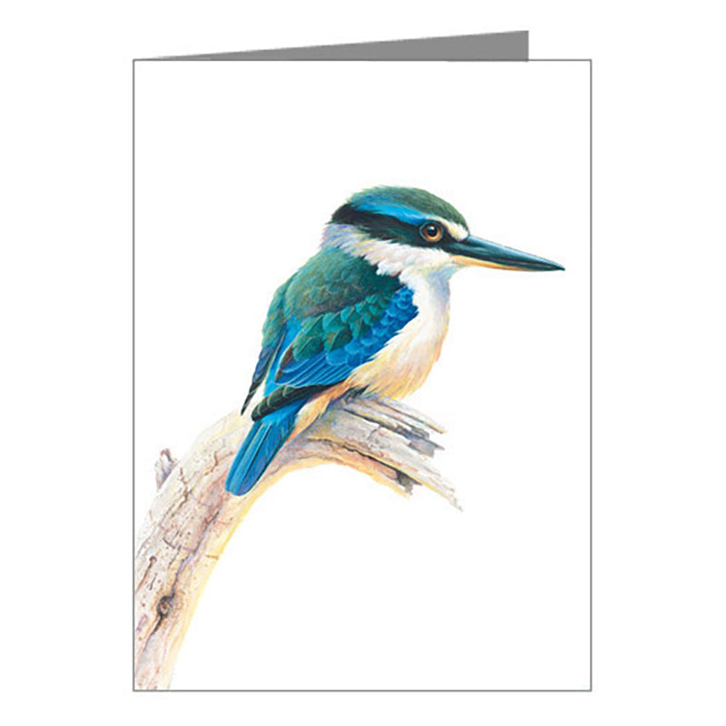 Gift Tag - Sacred Kingfisher