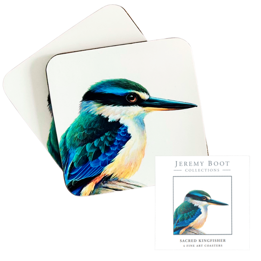 Kingfisher Coasters (set of 4)