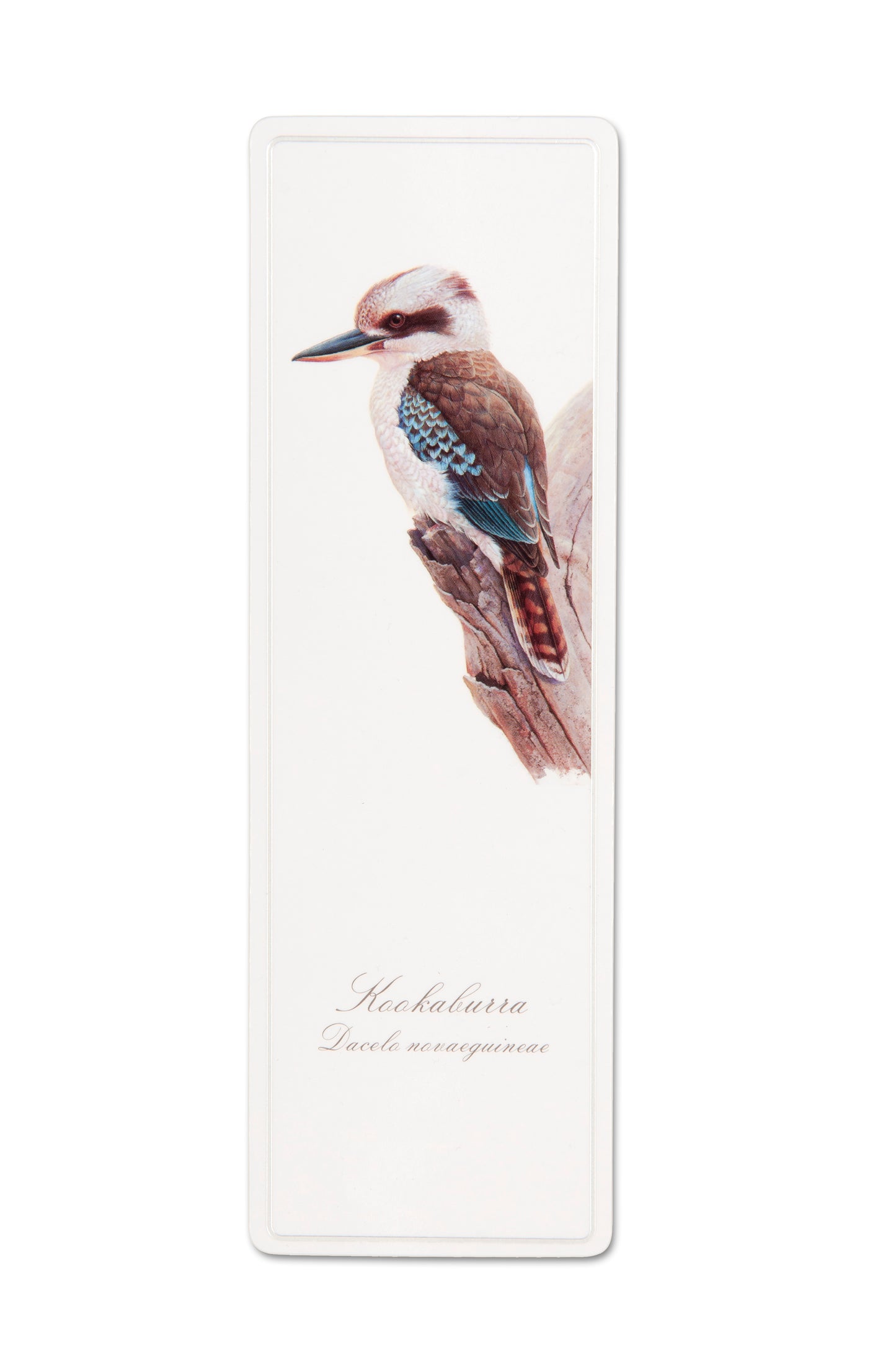 Bookmark - Kookaburra