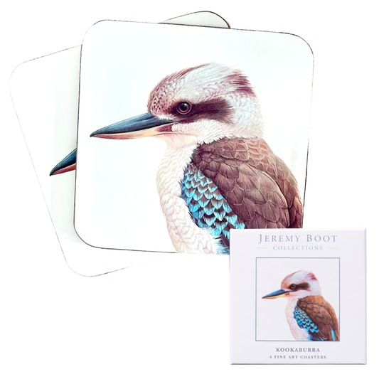 Kookaburra Coasters (set of 4)