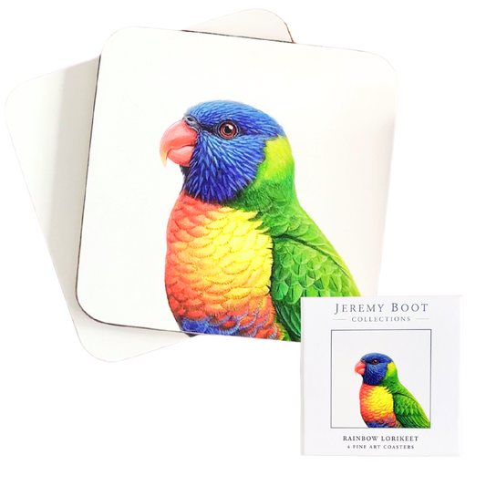 Rainbow Lorikeet Coasters (set of 4)