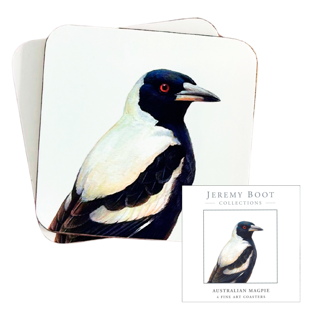 Magpie Coasters (set of 4)
