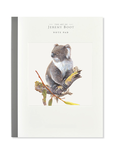 Note pad - Koala
