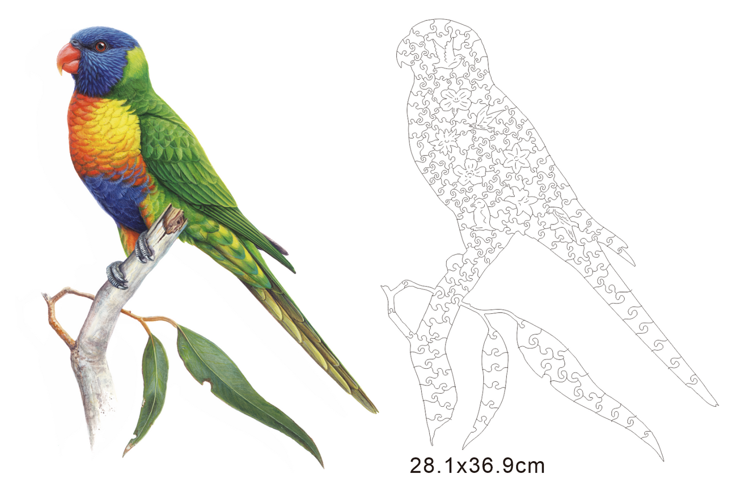 Timber Puzzle - Rainbow Lorikeet