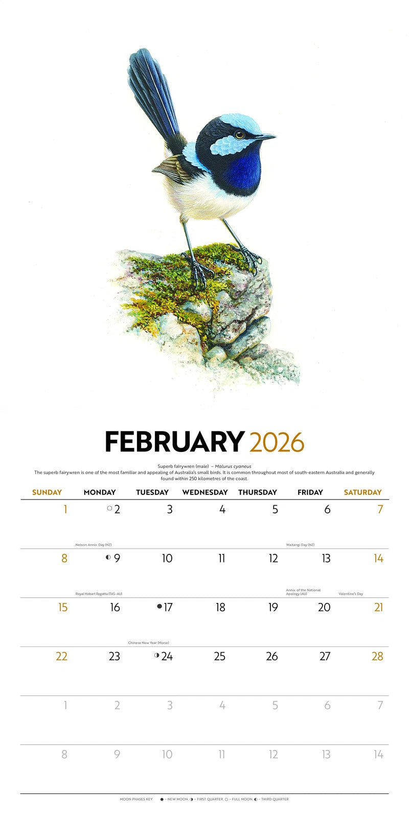Birds of Australia - 2026 Deluxe Wall Calendar