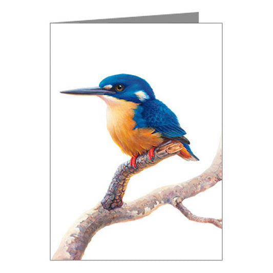 Blank Card - Azure Kingfisher