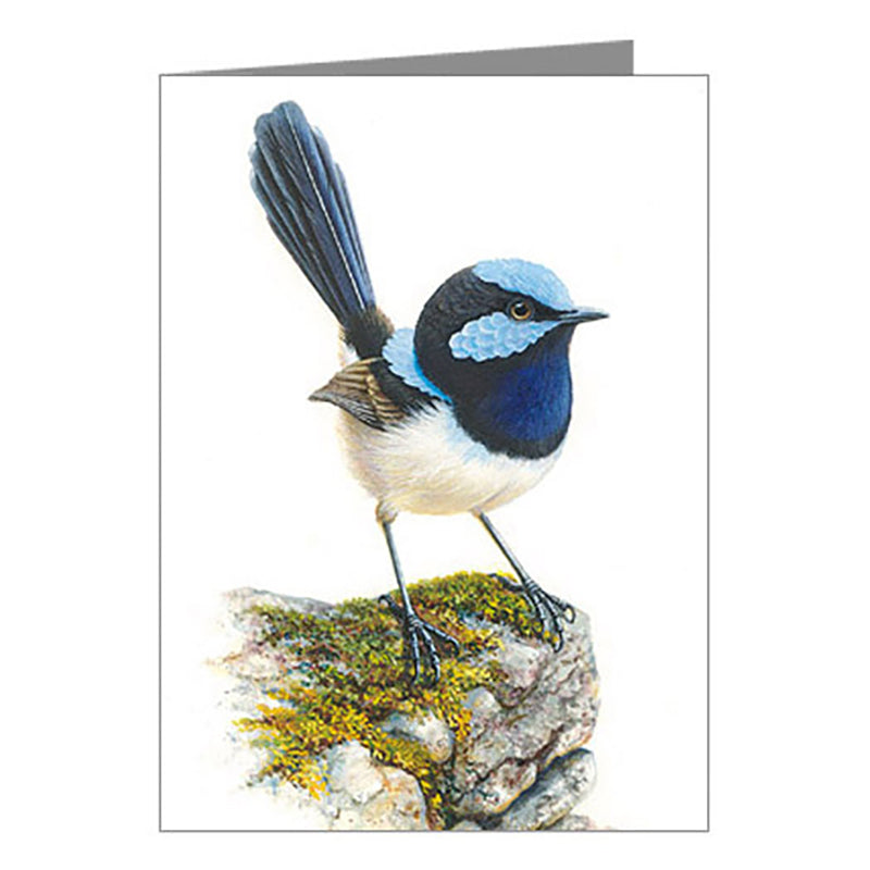 Blank Card - Blue Wren