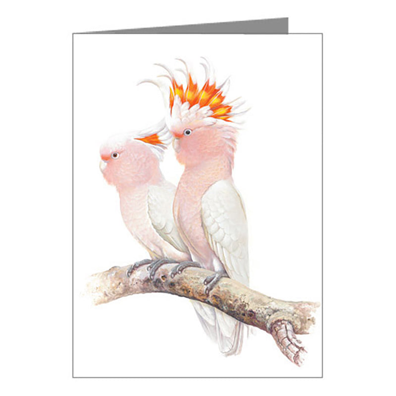 Blank Card - Pink Cockatoo